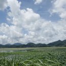 주남저수지 이미지