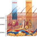 예산 동물병원 이미지