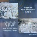 윤봉길의사기념관 이미지