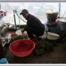 한일농장 이미지