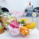 홈인팜스 이미지