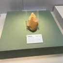 고인돌유적지2 | 강화도 역사박물관&amp;자연사박물관&amp;고인돌유적지(아이들과 방문하기 좋아요🥰)