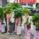 다비치안경 이천중앙점 이미지