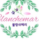 피알성형외과의원 | 쌍커풀 재수술(절개재수술) 두 군데 상담후기.(ㅇㅇㅌ.ㅍㅇ)