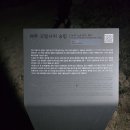 (조명사진)경기, 여주 고달사지 승탑.. 이미지