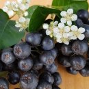 열매약국 이미지