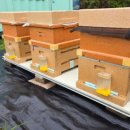 경언농장 이미지