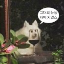 씨유 시티오웅빈점 | 1월 일상| 🔴2026년🐴 반납할게요 깔끔하게 사용했어요 기스 없구요