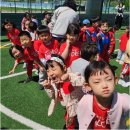 더하버드어린이집 네이버블로그