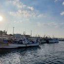 산방산 탄산온천 펜션 이미지