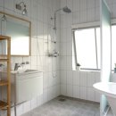 비바체(Vivace) 이미지