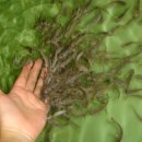 우리유황온천 이미지