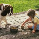 츄츄 동물병원 이미지