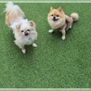 아이조아요양보호소 안양점 이미지