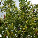 가음초등학교 이미지