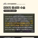 광진동물병원 이미지