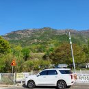 금오산 오토캠핑장 이미지