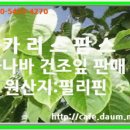 카리스팜스