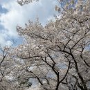 평강한의원 | 국립현대미술관 근처 카페 삼청동 편강 율 플래그십&amp;티하우스 내돈내산