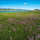 계절김치&한정식 요리 이미지