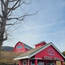 똑똑한 미디어 놀이터 | ​[충북/증평] 🐑'벨포레 목장' 양몰이 공연부터 먹이주기까지! 아이와 가볼 만한 곳 추천! 내돈내산 완벽...