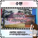 우리 안의 인종주의 | 수원박물관 1980년대 수원, 그해 우리는 함께볼만한 사진전 후기