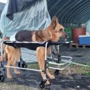 화식농장1 이미지