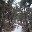 장원초교 이미지