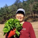 삼척 미인폭포, 한국의 그랜드캐니언 붉은 협곡과 비취빛 폭포는 언제 다시 열릴까