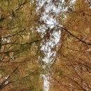 동산리 낚시터 이미지