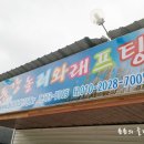 동강놀러와래프팅