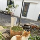 노리민박 이미지