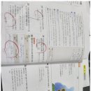 경덕초교 | 청주가경동수학 강쌤 프라임 전과목 후기: 맞춤형 학습의 진수