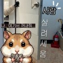 프로젝트 지(PROJECT G) | 마케팅 부트캠프/[디지털 마케터 취업 준비] 도와세움 디마에 90기 1주차 적응 중 – 팀 과제와 회식 후기