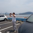 산호횟집.산호장
