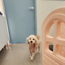 또또미용실 - 남구 중앙로300번길 30 | 또또미용실