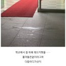 #20 번째 기록 🤦‍♀️