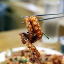 신사뻘낙지 이미지