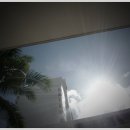 펌수기 - 하와이 출장기 1탄 & 2탄 이미지