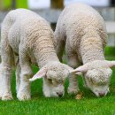 유성문화원 이미지