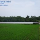 성주군대가면용흥보건진료소 이미지