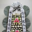 반려동물 의료센터 다울 이미지