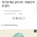 먹기만 해도 살이 쏙?…마법의 약은 없다 이미지