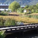 노원교길 이미지