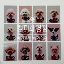 컴피 화명점 이미지