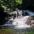 월송수퍼 이미지