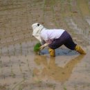 포두면사무소 이미지