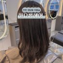 행정용 50 | 천안 청당동미용실 하요룸헤어 청당행정타운점 루나수석디자이너님 모발클리닉 후기