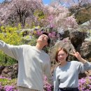 파도길 65 | 24년 9월 일상