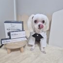 노블덴탈 이미지